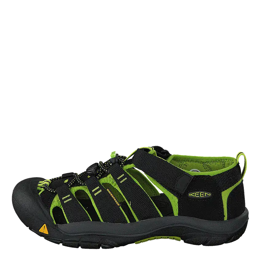 Newport H2-Jr Black/Lime green