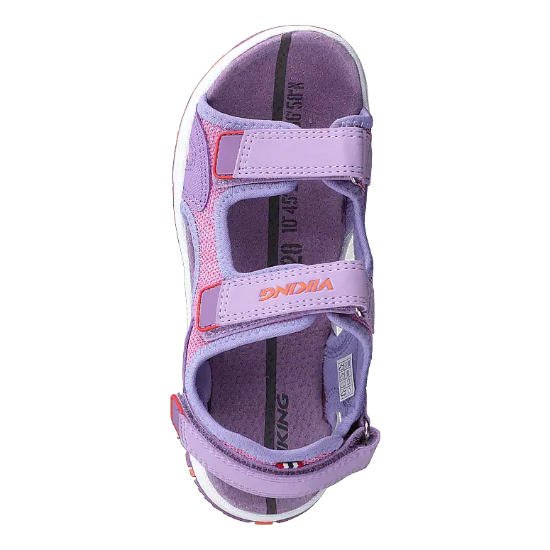 Anchor Lavender/coral