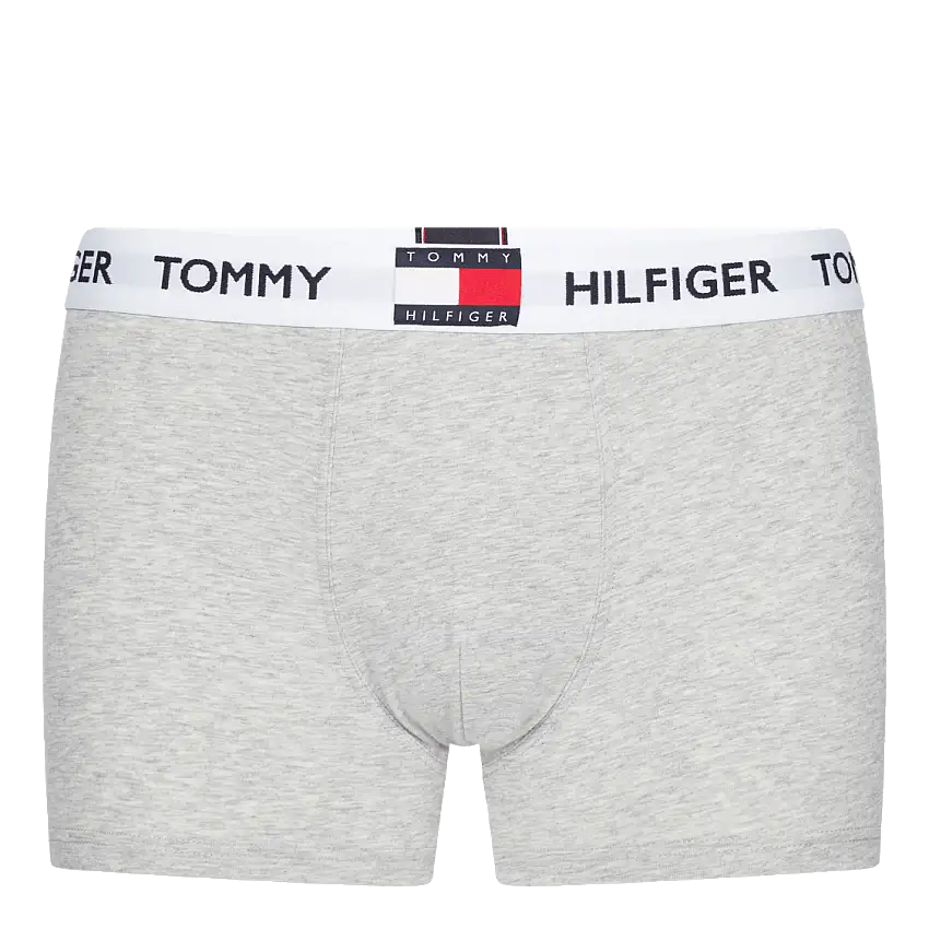 Trunk, P01 Light Grey Heather