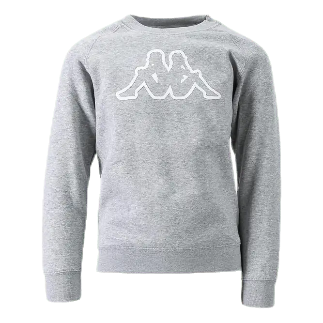 Logo Plutone Jr Grey