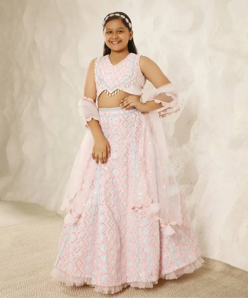 Baby pink embroidered choli eith lehenga